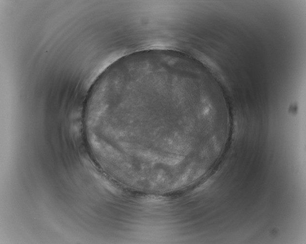 X0000113071170200909182018