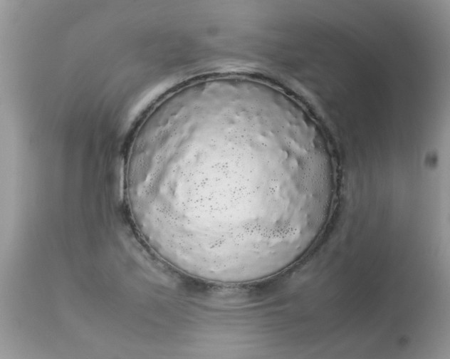 X0000113071171200909182018