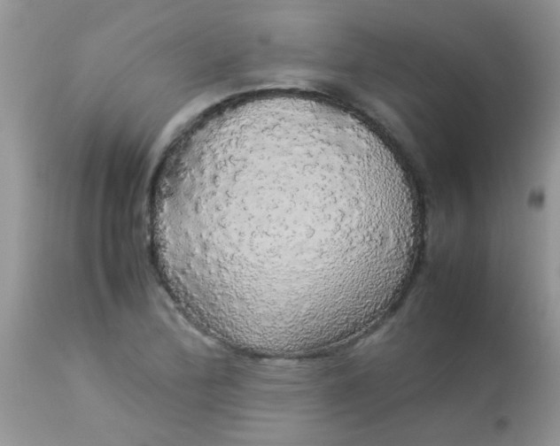 X0000113071172200909182018