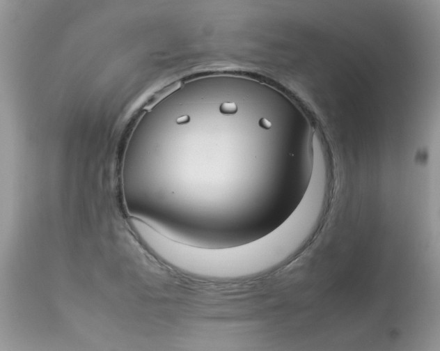 X0000113071173200909182018