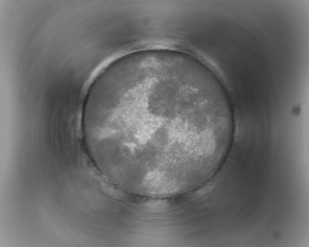 X0000113071174200909182018