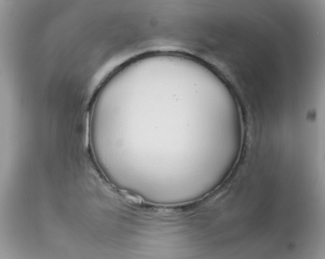 X0000113071175200909182018