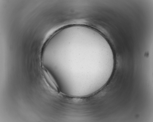 X0000113071176200909182018