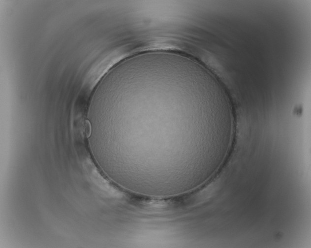 X0000113071177200909182018