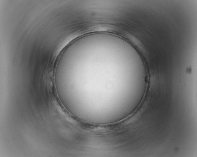 X0000113071178200909182018