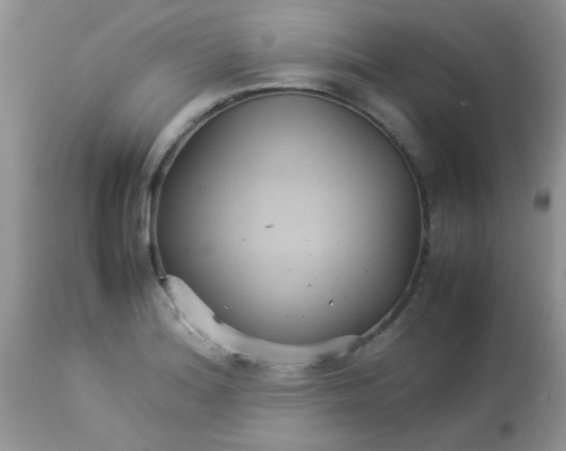 X0000113071180200909182018