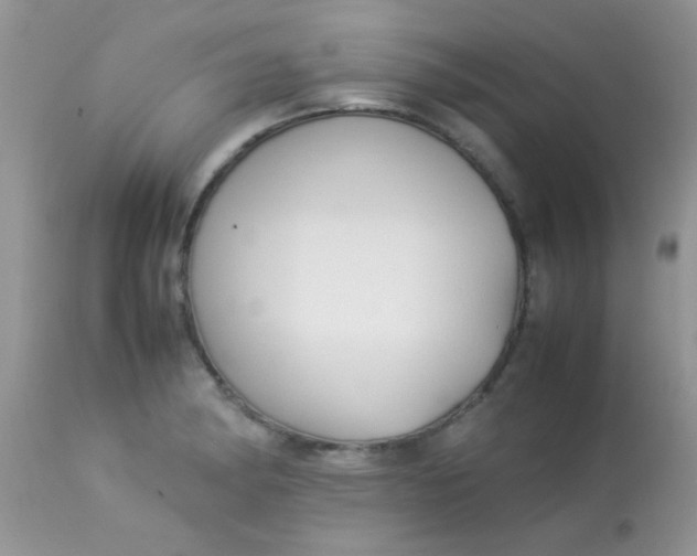 X0000113071182200909182018