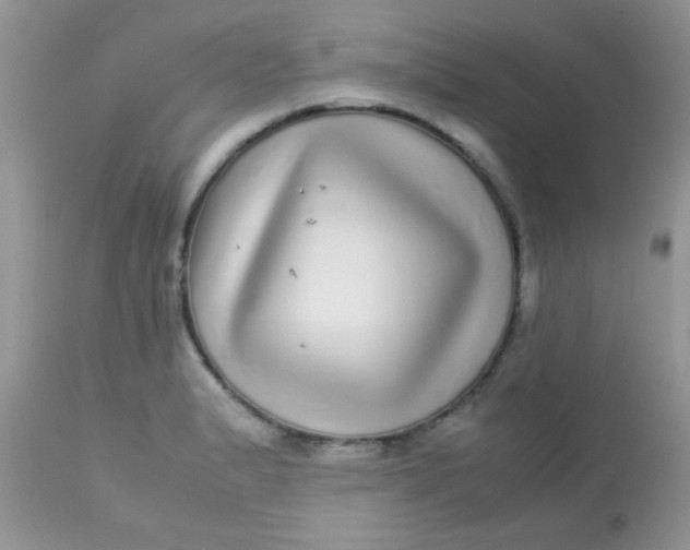 X0000113071183200909182018