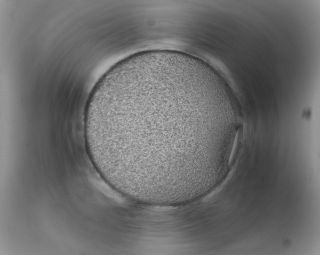 X0000113071184200909182018