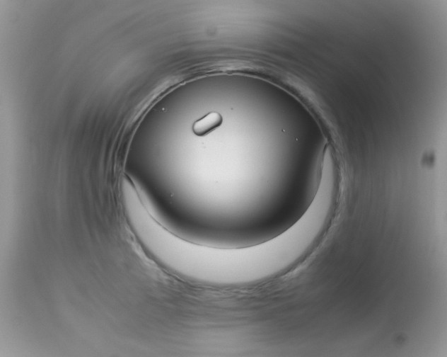 X0000113071185200909182017