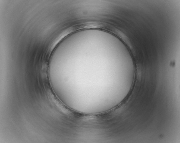 X0000113071186200909182017