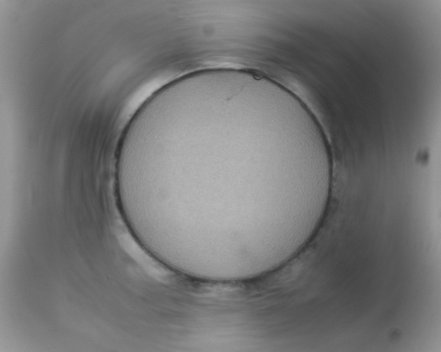 X0000113071187200909182017