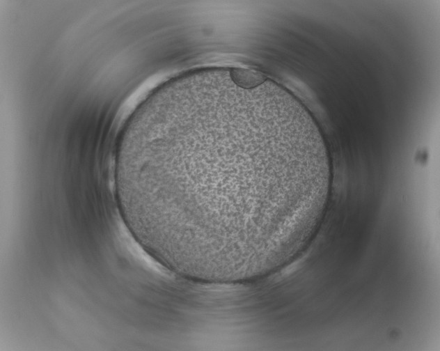 X0000113071188200909182017