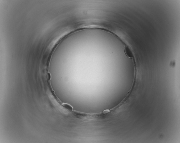 X0000113071189200909182017