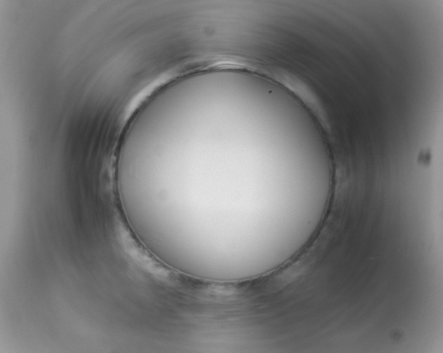 X0000113071190200909182017