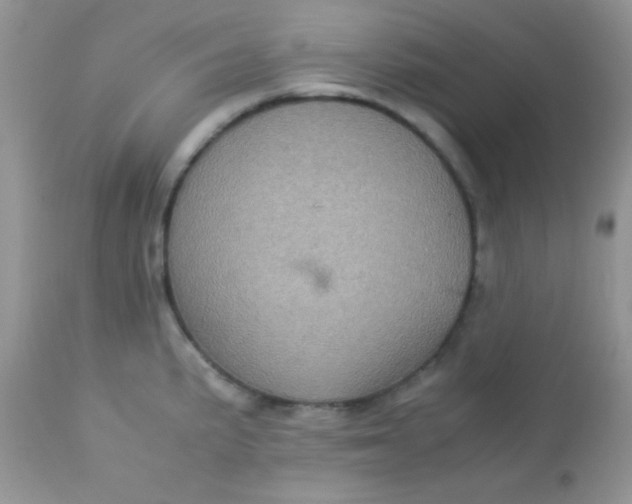 X0000113071191200909182017