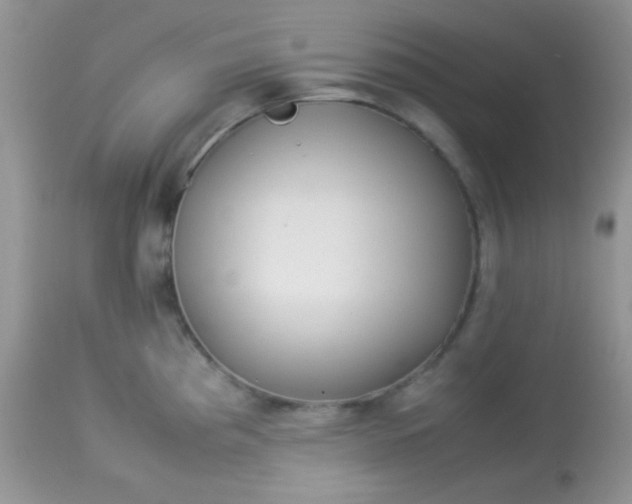 X0000113071193200909182017