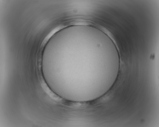 X0000113071195200909182017