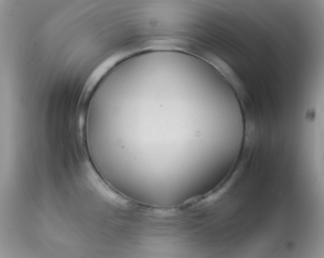 X0000113071196200909182017