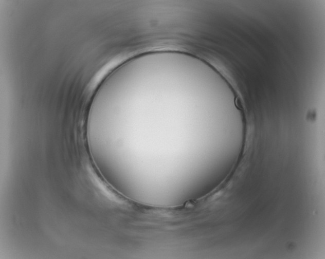 X0000113071197200909182017