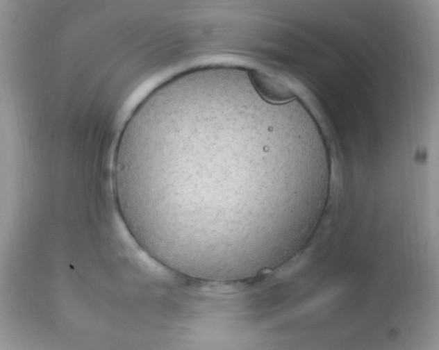 X0000113071199200909182017