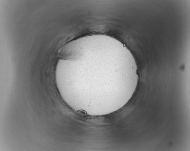 X0000113071201200909182017