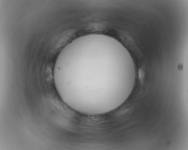 X0000113071203200909182017