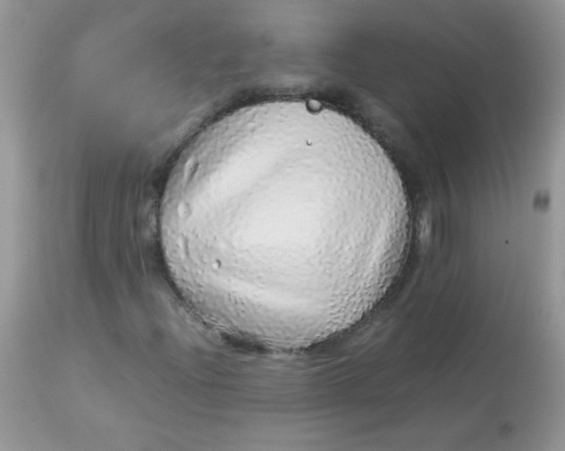 X0000113071204200909182017