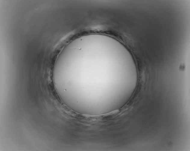 X0000113071205200909182017