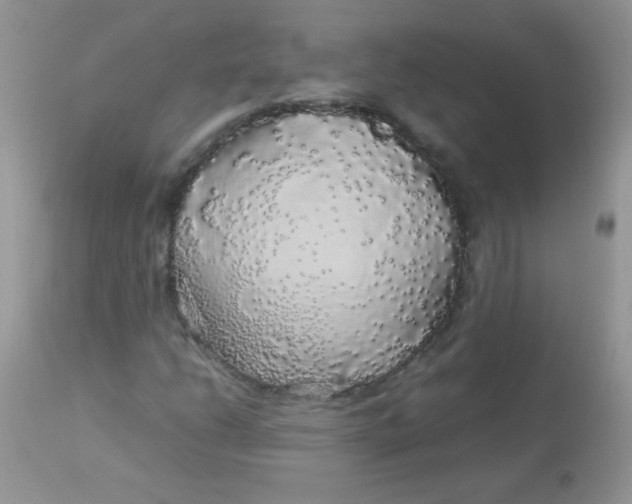 X0000113071206200909182017