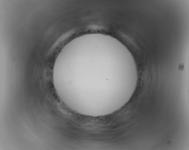 X0000113071207200909182017