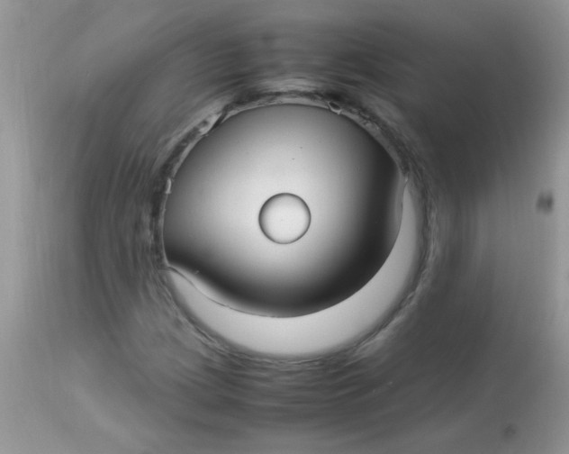 X0000113071209200909182017