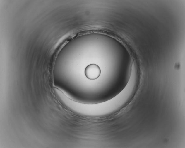 X0000113071210200909182017