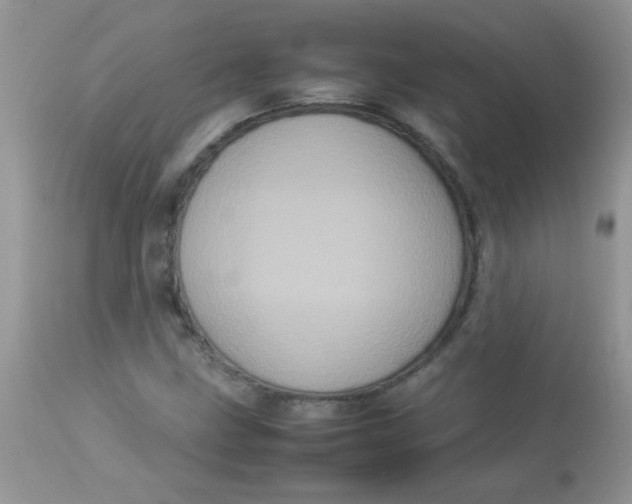 X0000113071211200909182017