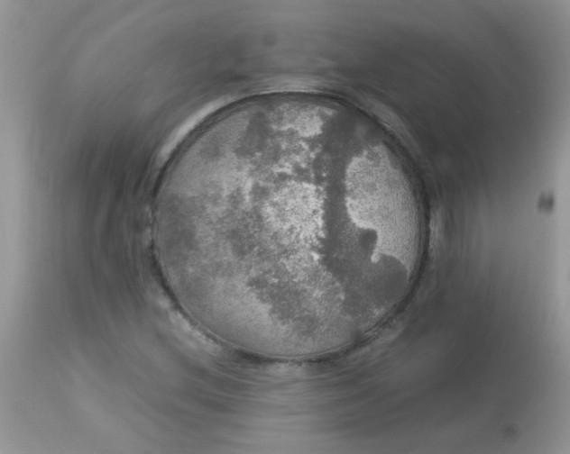 X0000113071212200909182017