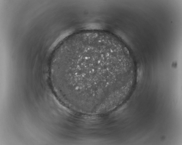 X0000113071213200909182017