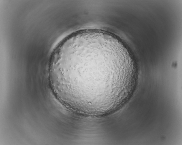 X0000113071216200909182017