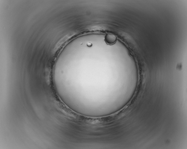 X0000113071217200909182017