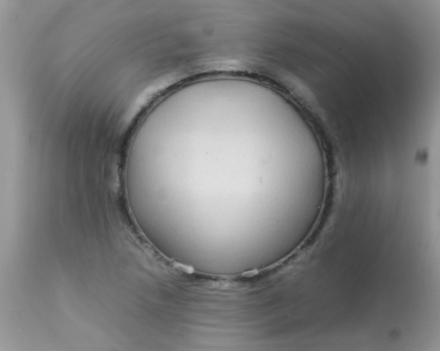 X0000113071218200909182017