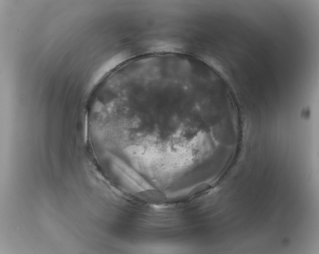 X0000113071219200909182017