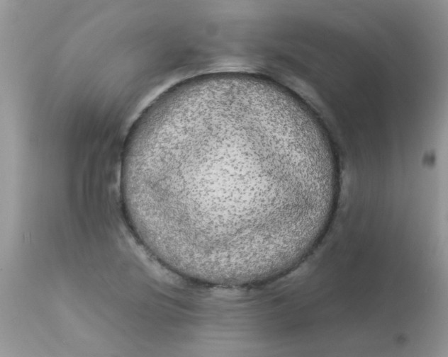 X0000113071220200909182017