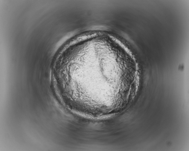 X0000113071221200909182017