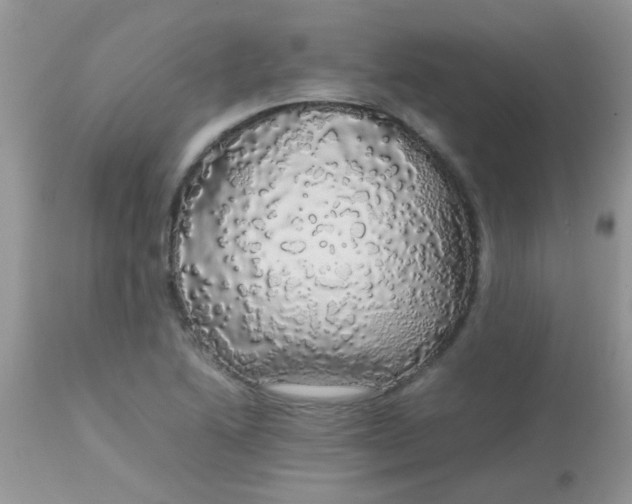 X0000113071222200909182017