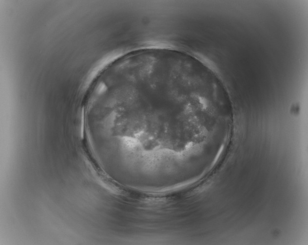 X0000113071223200909182017