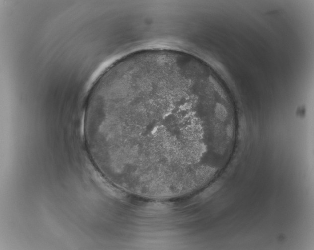 X0000113071224200909182017