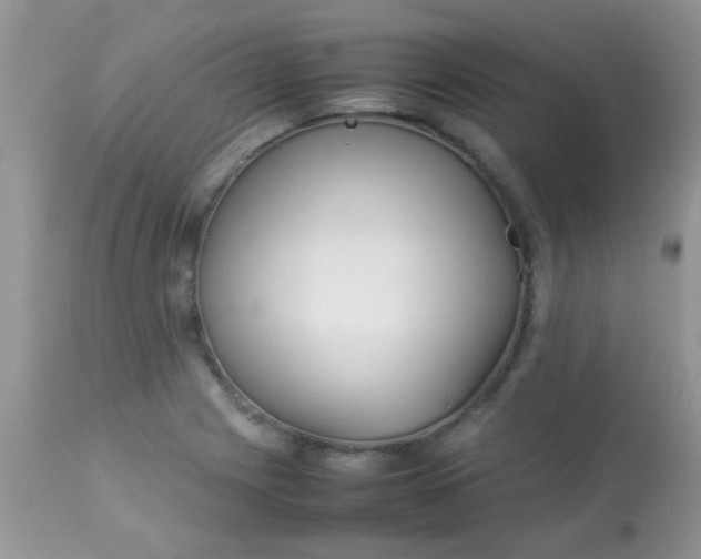 X0000113071225200909182017