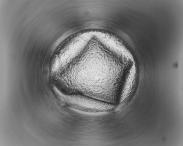 X0000113071226200909182017