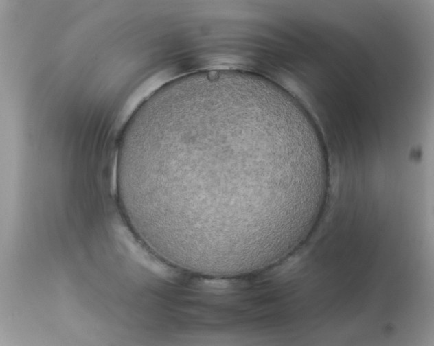 X0000113071227200909182017