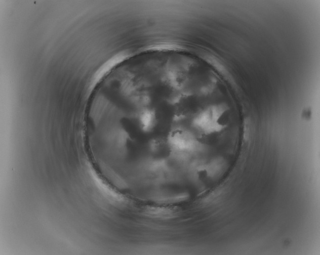 X0000113071229200909182017