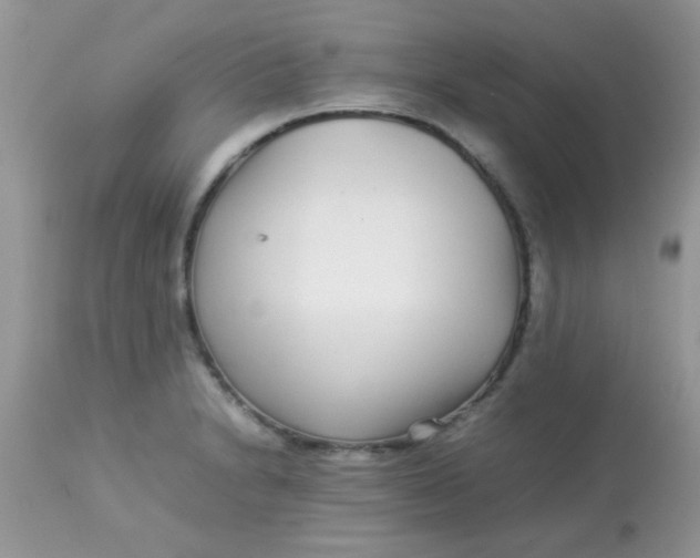 X0000113071230200909182017